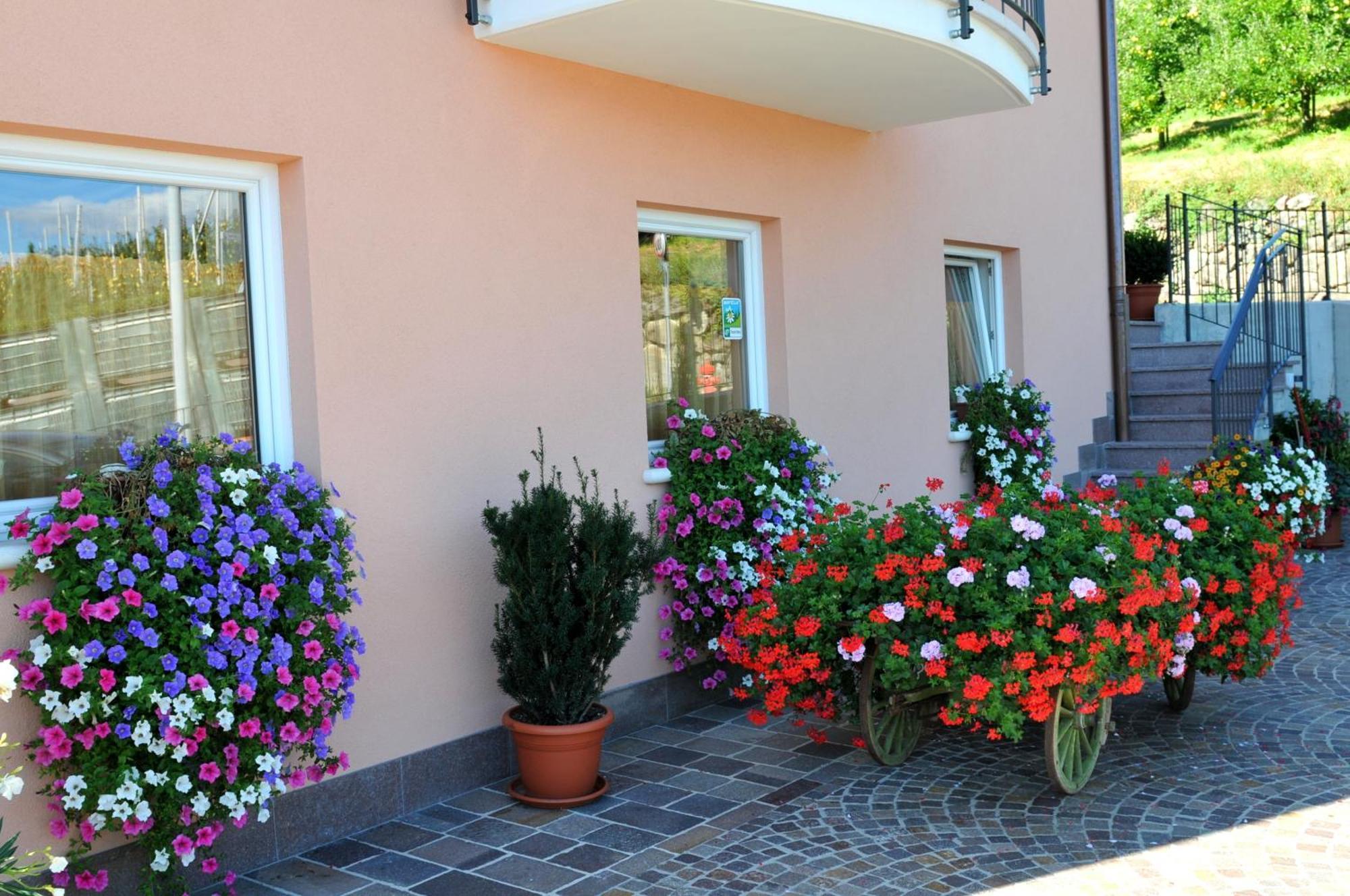 Villa Agritur Le Pergolette Tassullo Esterno foto
