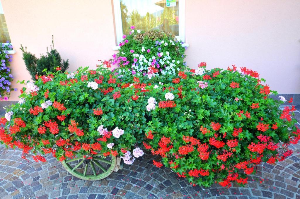 Villa Agritur Le Pergolette Tassullo Camera foto